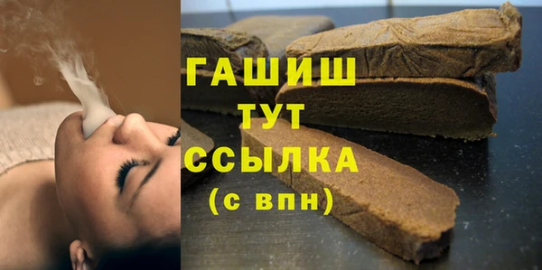 мдпв Ельня