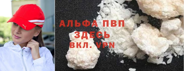 мдпв Ельня