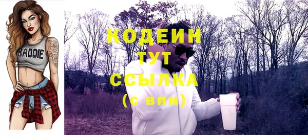 мдпв Ельня