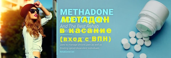 мдпв Ельня