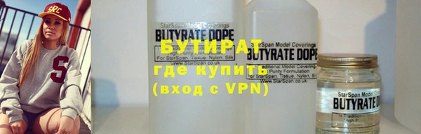 мдпв Ельня