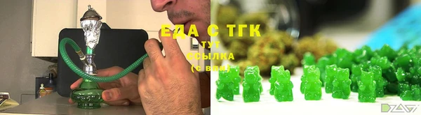 мдпв Ельня