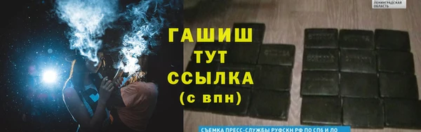 мдпв Ельня