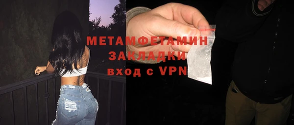мдпв Ельня