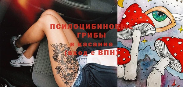мдпв Ельня