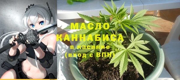 мдпв Ельня