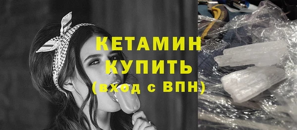 мдпв Ельня