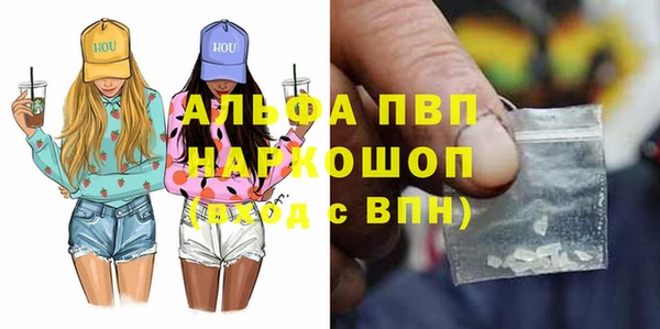 мдпв Ельня