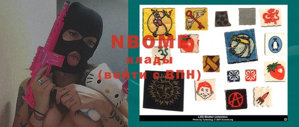 мдпв Ельня
