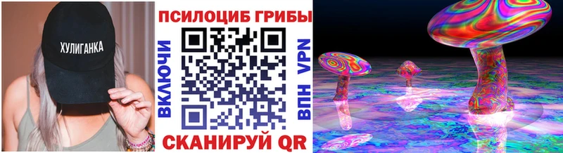 Купить где  Луховицы  Псилоцибиновые грибы Cubensis 